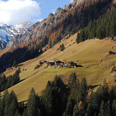 Land Tirol/Tiroler Kunstkataster