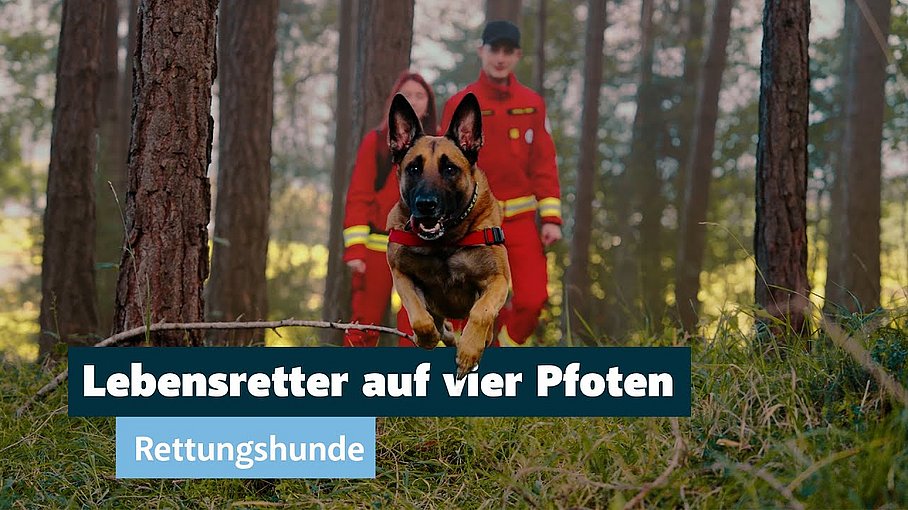 Rettungshundebrigade Tirol - Sicher in Tirol geht nur mit dir!