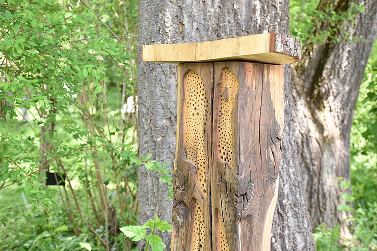 Holzstamm mit Löchern