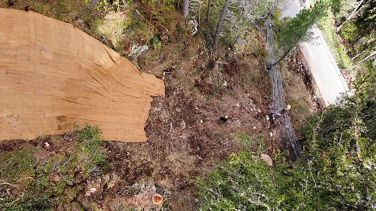Luftaufnahme Straße durch den Wald; Blick direkt auf die Böschung; man sieht bereits ein Sicherungsnetz aus Metall, welches zwischen Hang und Straße installiert wurde