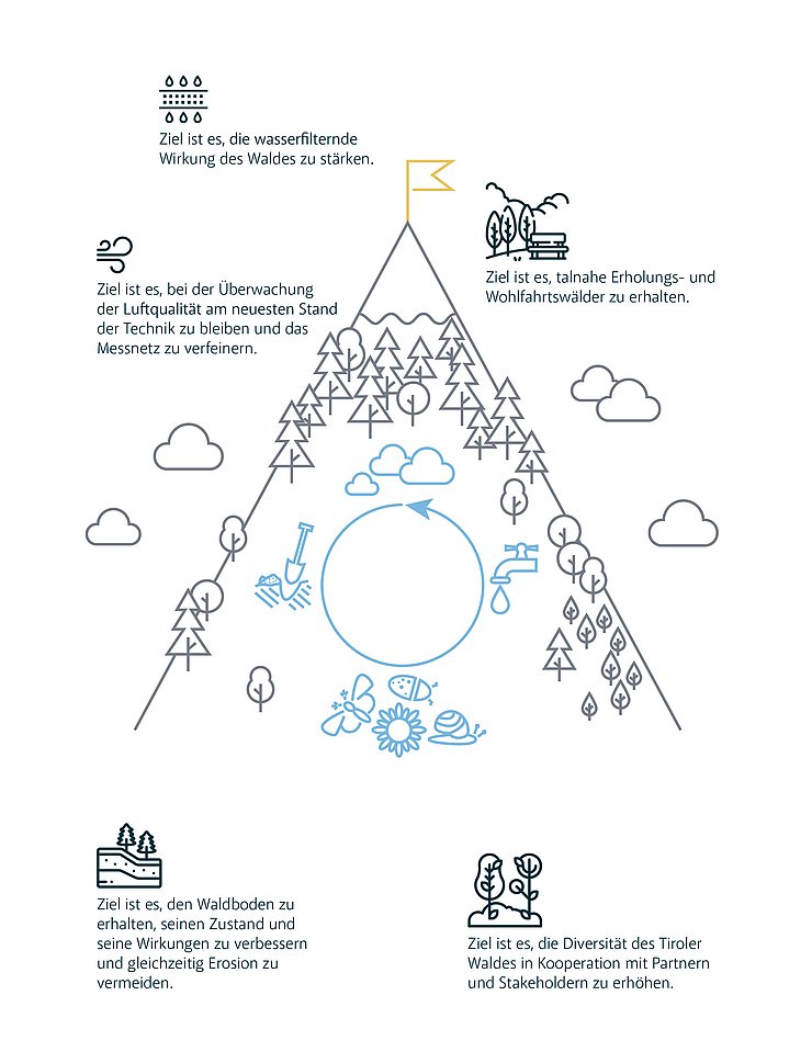Grafik Bergwald und Ökosystemleistungen