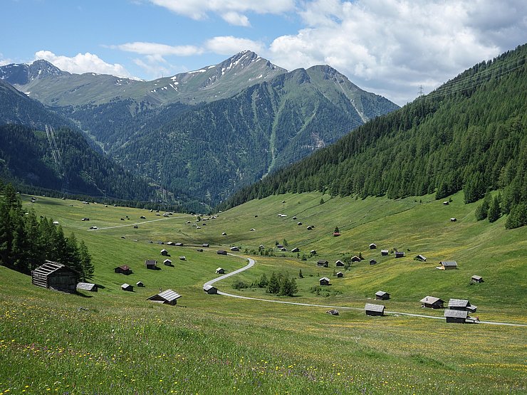 © Andreas Danzl Lebensraum Bodenbrüter