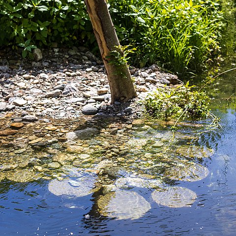 Der Inn am Schlitterer Gießen