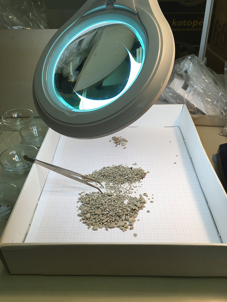 © Peter Trebsche, Institut für Archäologien, Universität Innsbruck Foto einer Lichtlupe, unter welcher man Mikroabfälle wie verkohlte Pflanzenreste erkennen kann