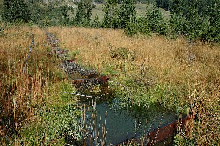 © Land Tirol/Leiner Moor