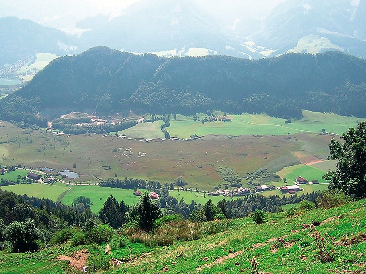 © Land Tirol/Revital "Die Schwemm" - Niedermoor im Verlandungsbereich eines Sees