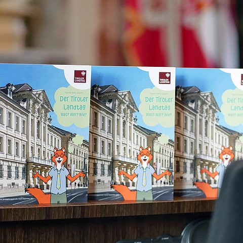 Kinderbroschüre "Tommi will's wissen"