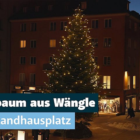 Christbaum aus Wängle am Landhausplatz