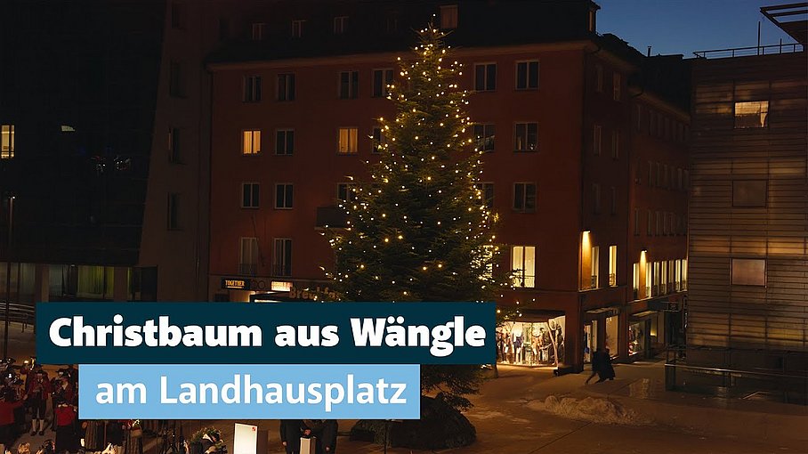 Der Christbaum am Landhausplatz