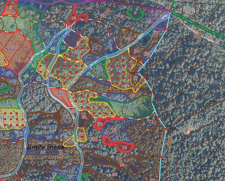 © Land Tirol/Gruppe Forst Ausschnitt aus einer Forstkarte