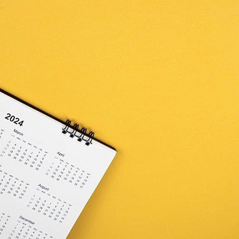 Tätigkeitsbericht 2024