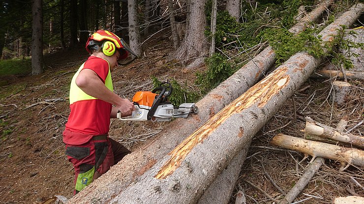 © Land Tirol Ein befallener Baum wird maschinell Entrindet um den Borkenkäfer zu bekämpfen.