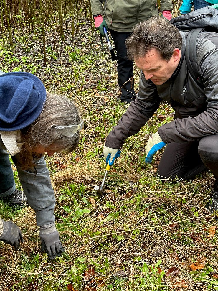 © Land Tirol/Milicevic Problempflanzen