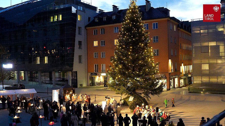 © Land Tirol/Christanell Wildschönauer Christbaum für den Landhausplatz