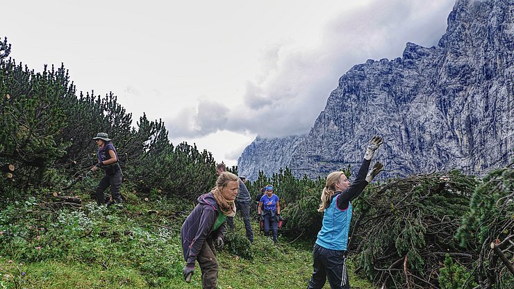 © NP Karwendel/Lukas Ascher Almflächen werden entbuscht, schönes Bergpanorama im Hintergrund