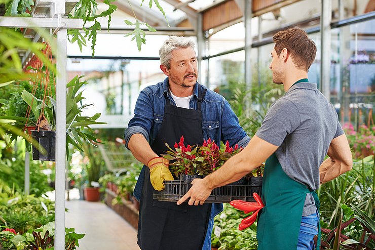 Gärtner übergibt Pflanzen an Lehrling