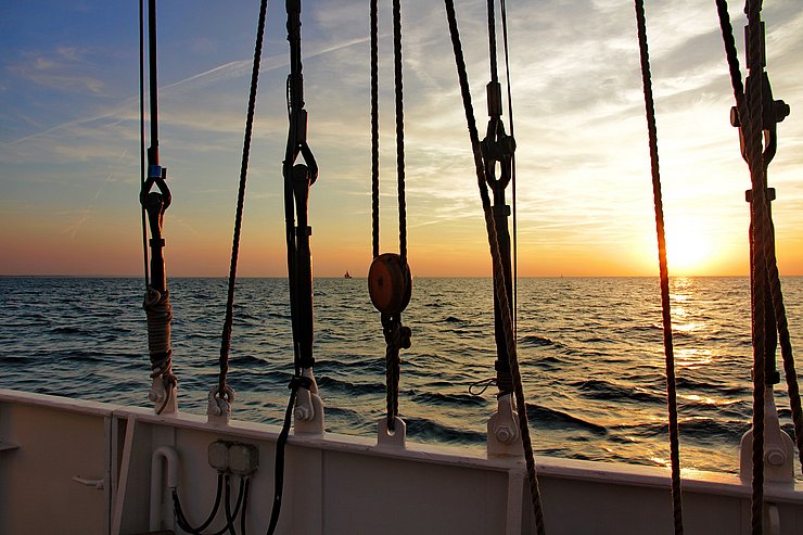 Sailor,In,The,Sunset