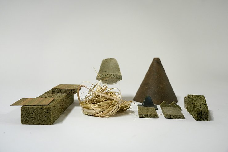 schnell nachwachsende Rohstoffe