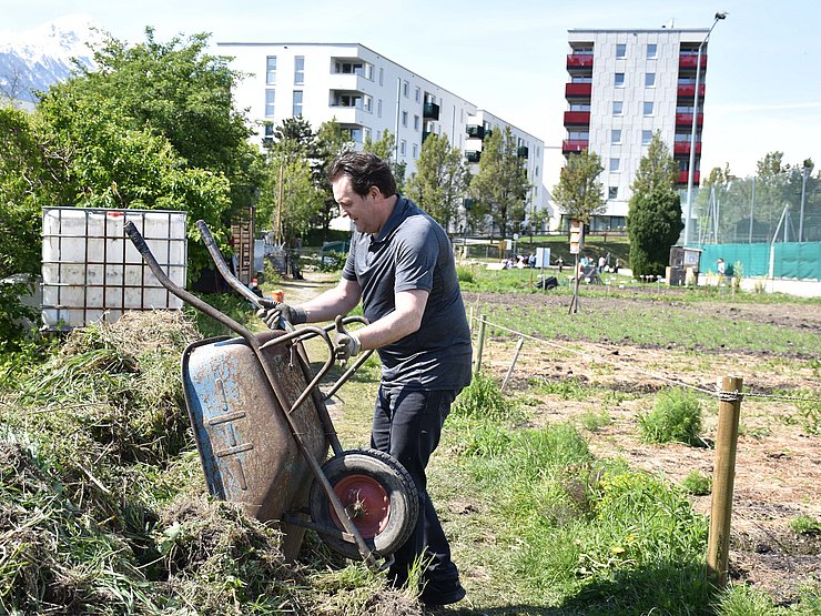 © Land Tirol/Knabl LR Zumtobel leert Schubkarre mit Grünzeug aus