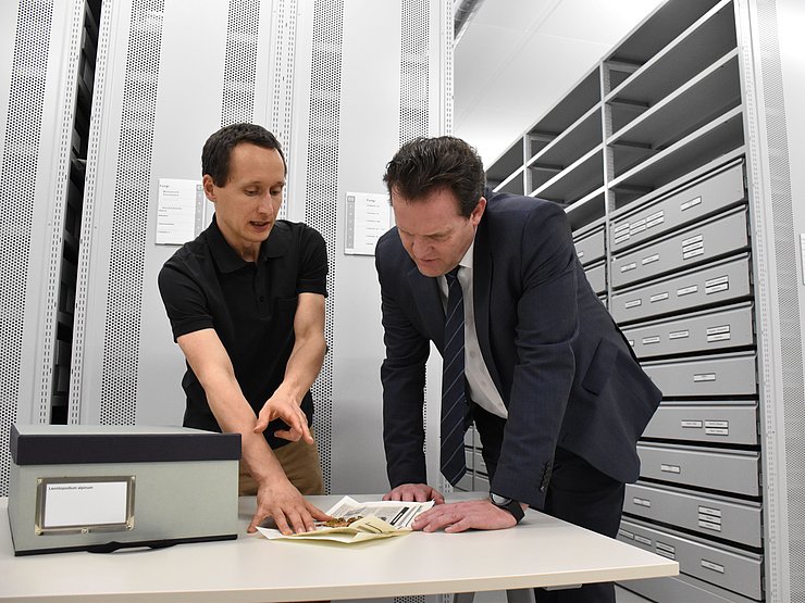 Thalinger und Zumtobel