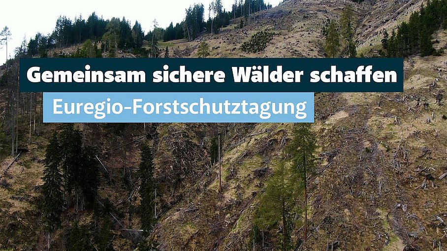 © Land Tirol/Järvinen Euregio Forstschutztagung