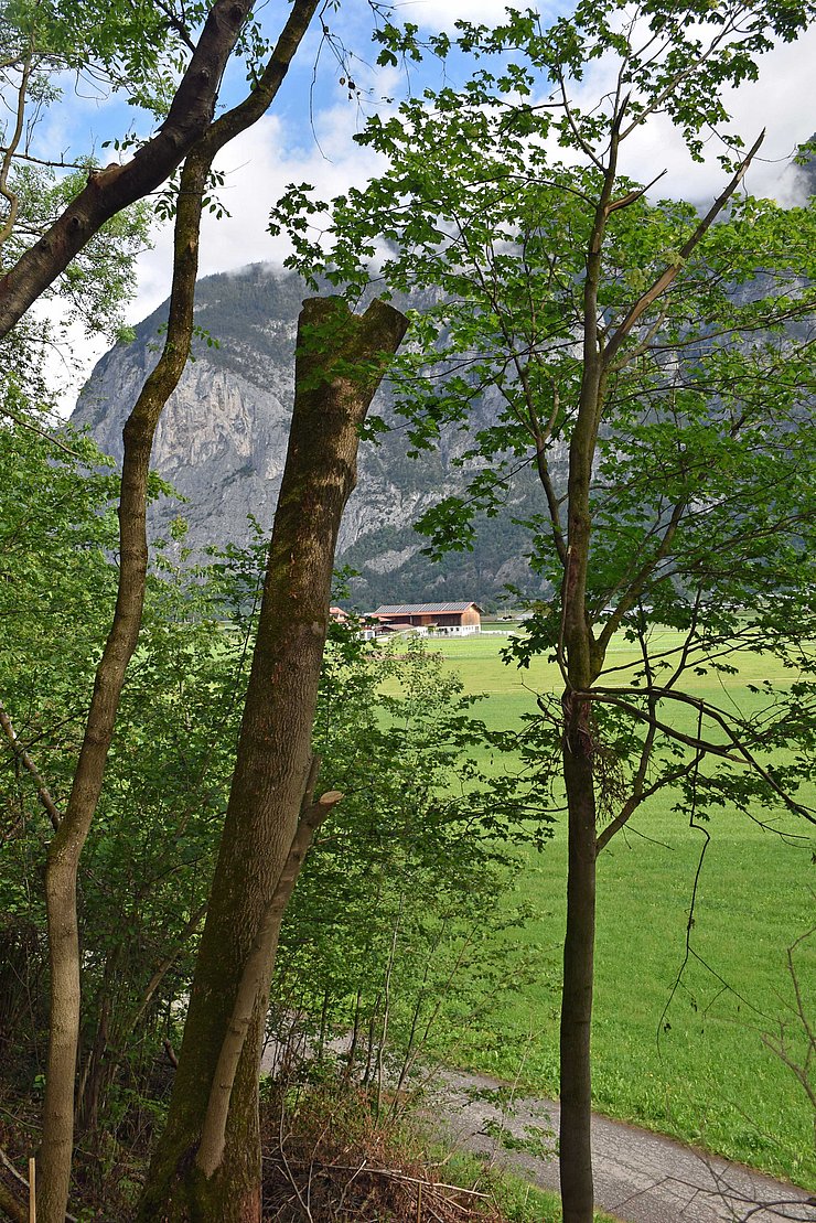 © Land Tirol Ökosäule