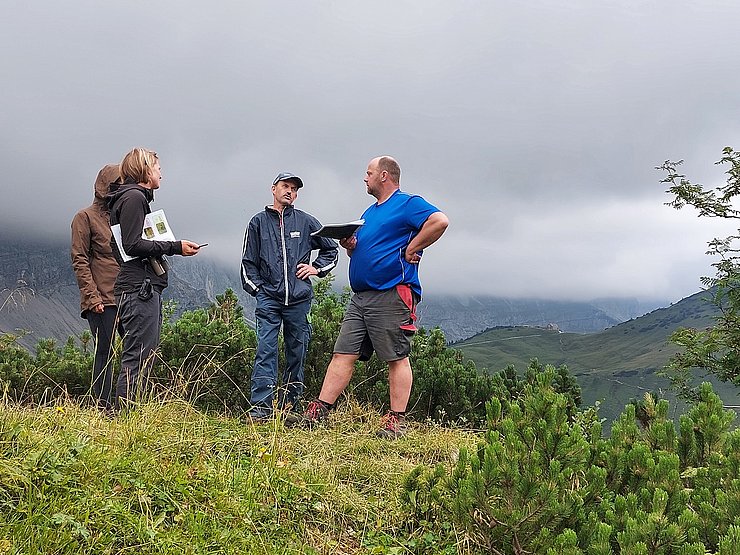Vier Personen im Naturpark unterhalten sich