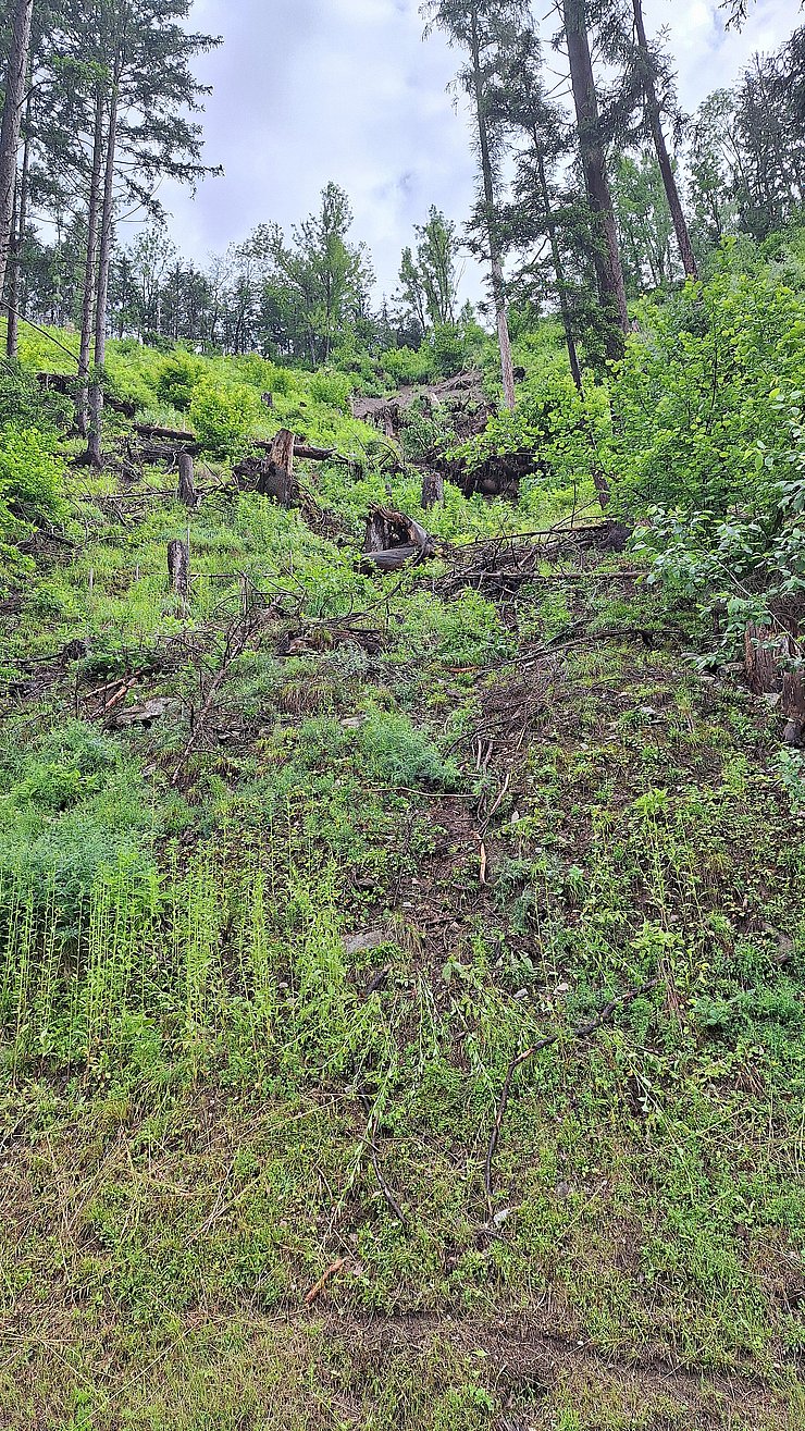 © Land Tirol Foto des Hangs