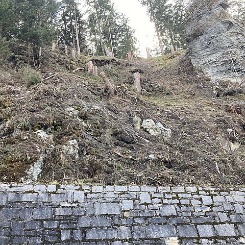 Der Hang neben der Hochgallmiggstraße, der abzurutschen droht.. 