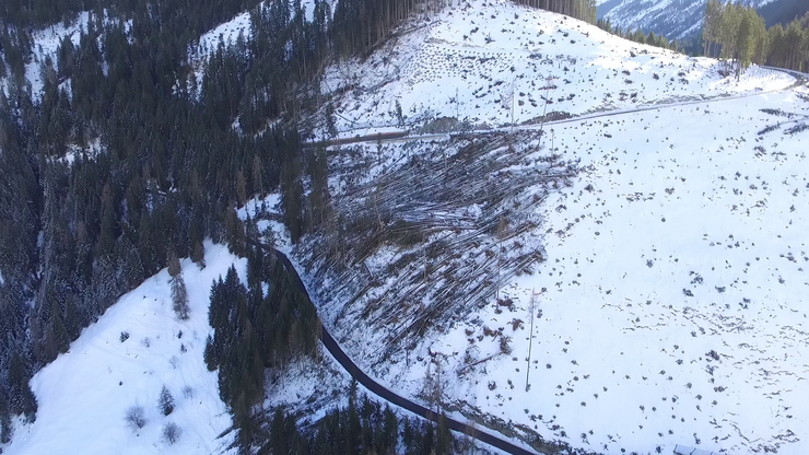 Orkanereignis Jänner 2018