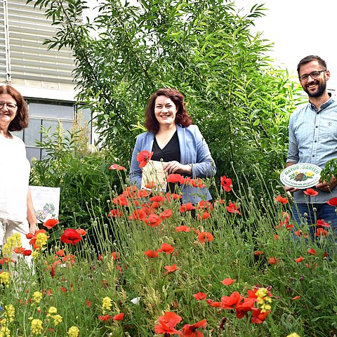 von li.: Sabine Sladky-Meraner, Biologin und Mitarbeiterin des Botanischen Gartens Innsbruck, LHStvin Ingrid Felipe, Matthias Karadar, Projektleiter von "Natur im Garten". 