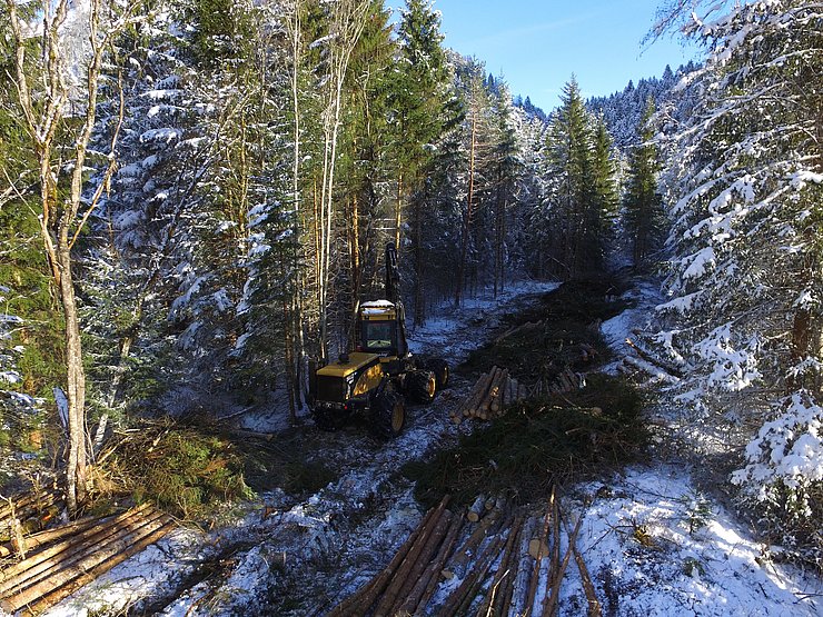© Land Tirol/Reiter Rodungsarbeiten