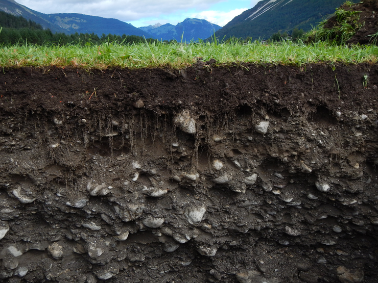 Bodenaufbau einer Rendzina
