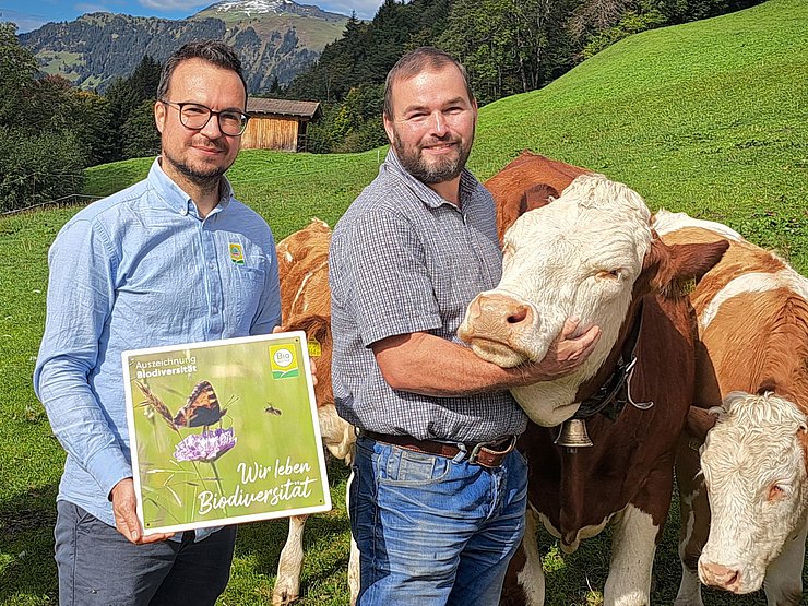 Zwei Männer neben Kühen