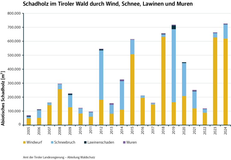 Das Diagramm zeigt, wie viel Schadholz durch Wind, Schnee, Lawinen und Muren im Jahr 2024 entstanden ist.
