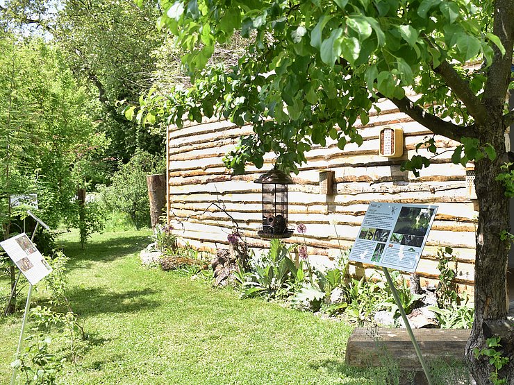 Garten mit Bäumen, Pflanzen, Vogelfutterstelle