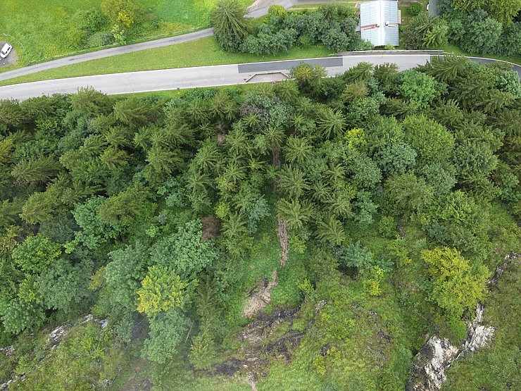 © Land Tirol Drohnenaufnahme Straße und Sicherung