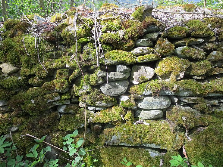 © Land Tirol/Daniela Wagner Lesesteinmauer