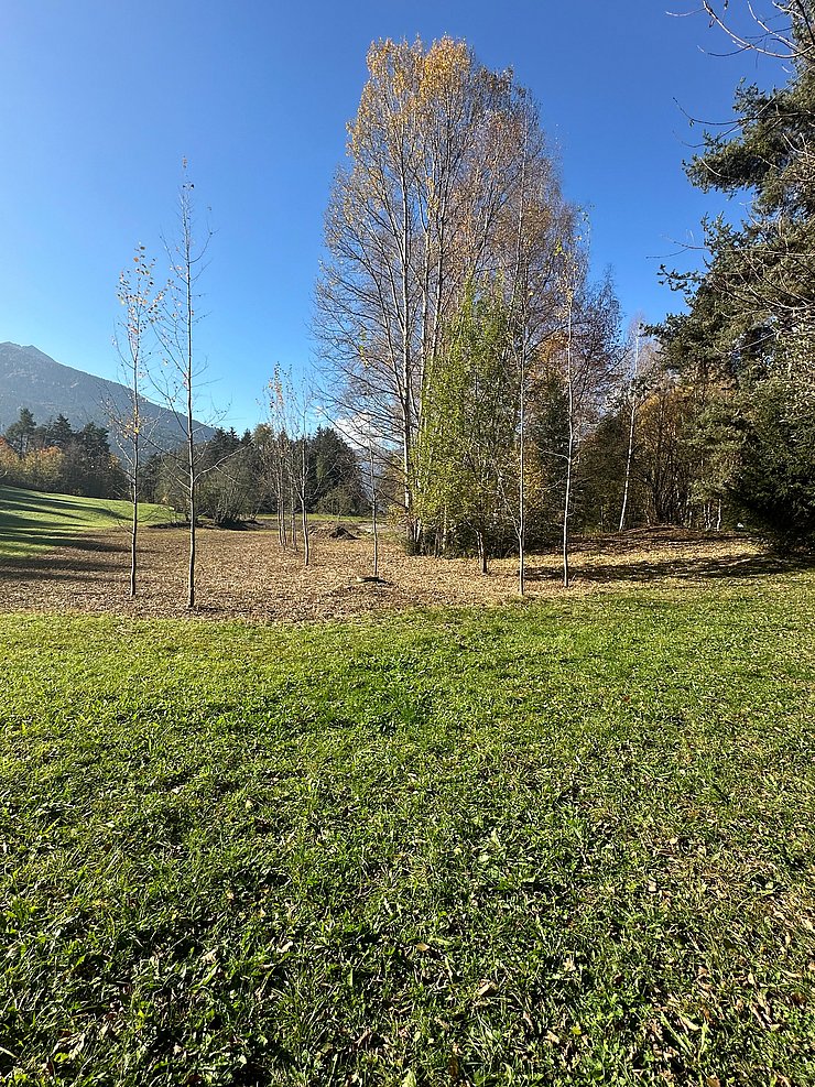 © Land Tirol/Knabl Wiese