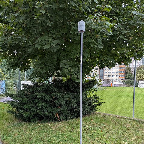 Bild eines Passivsammlers