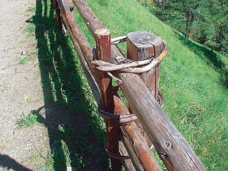 © Land Tirol/Revital Zaunring