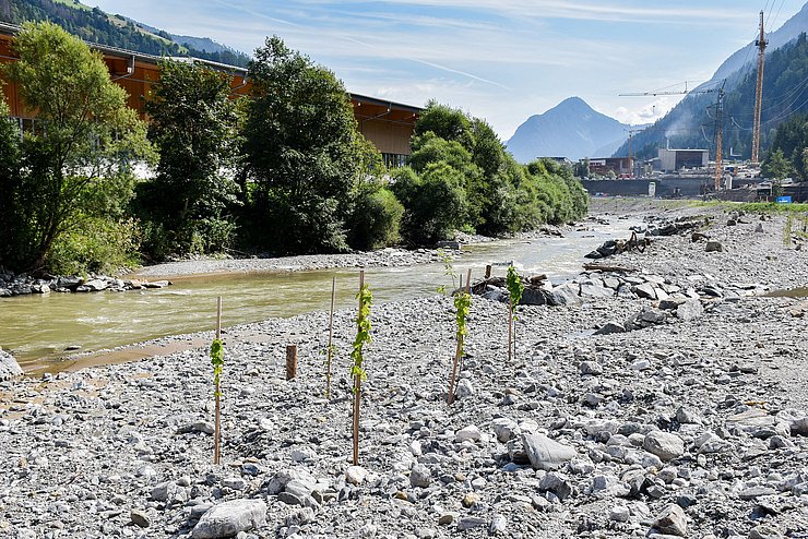© Land Tirol/Jansenberger Neben dem Fluss wurden einige Bepflanzungen im Schotterkörper gemacht.