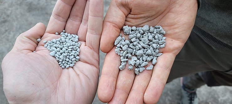 © Land Tirol Zwei Handflächen auf denen Samen liegen; ummantelte Samen sehen aus wie Kiselsteine