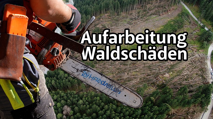 © Land Tirol/Järvinen Aufarbeitung der Waldschäden: Unterstützung durch das Österreichische Bundesheer
