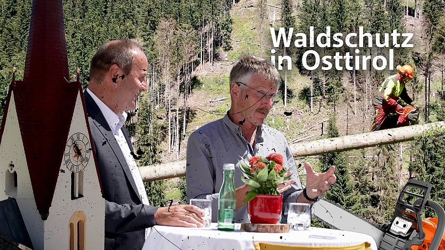 © Land Tirol / Raggl Borkenkäfer | Maßnahmen in Osttirol
