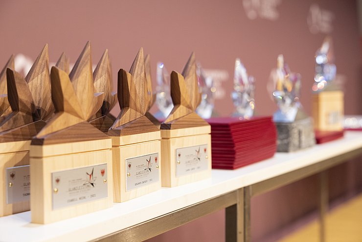 © Land Tirol/Sedlak Der "Rising Star" wurde heute, Sonntag, an zahlreiche anwesende ehrenamtlich Tätige verliehen.