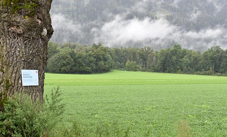 © Land Tirol/Brandhuber