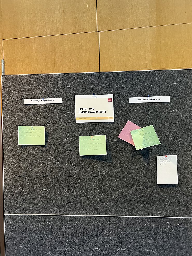 Diskussionsbeiträge zum Thema "Kinder- und Jugendanwaltschaft"