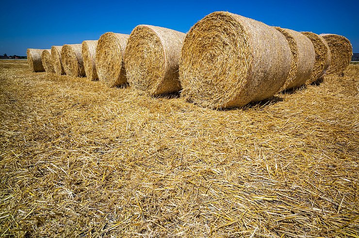 Getreideballen aus Stroh