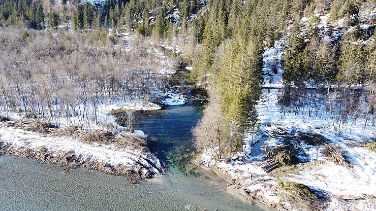 Einmündungsbereich der Lainmure (Mühlbach) in den Lech - Der ungünstige Einmündungswinkel verringert die Fliessgeschwindigkeit und führt zur Verschlammung der Lainmure.